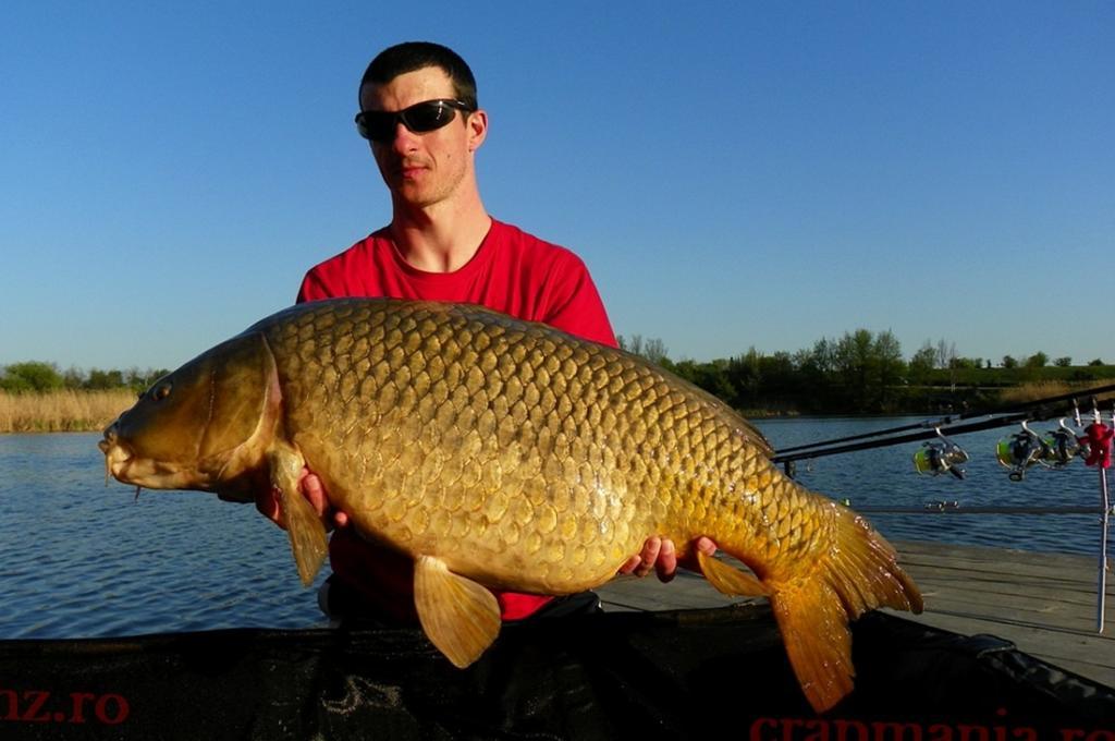 Trofeul tancabesti 2013 - 1010317.jpg